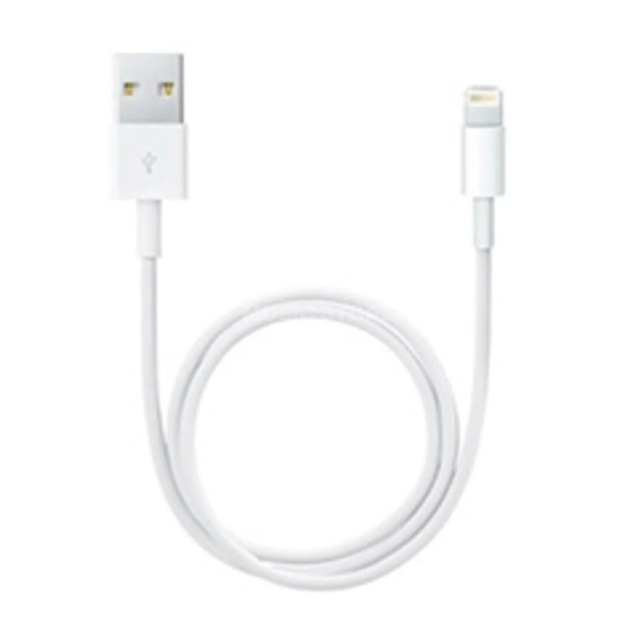 Apple Lightning to USB Cable (0,5m) - Image 3